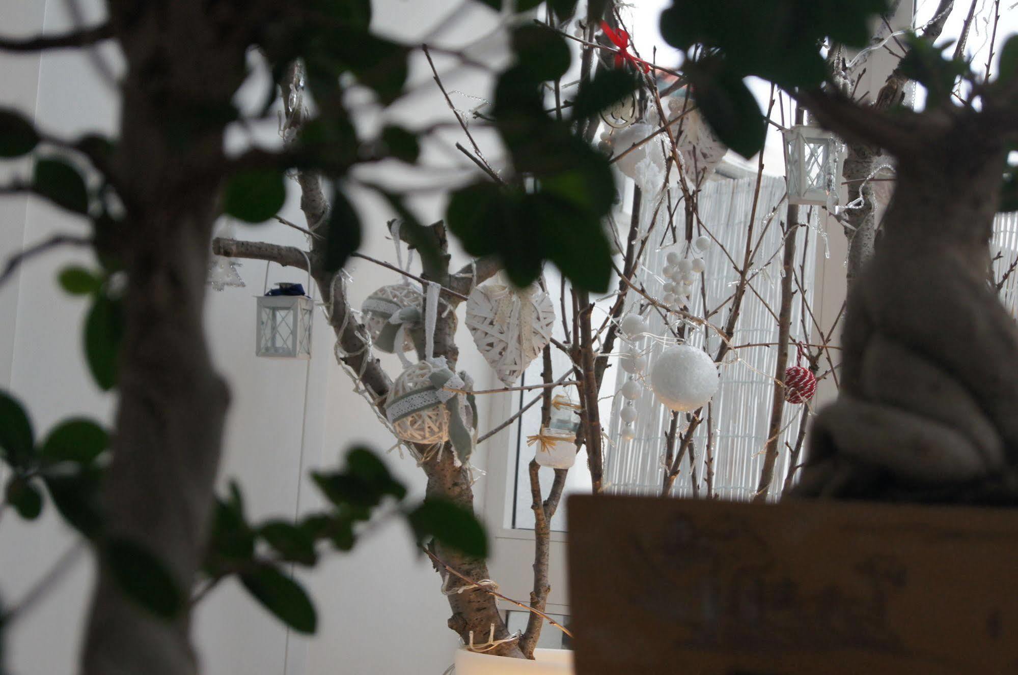 La Bella Trani - Suites And B&B ภายนอก รูปภาพ